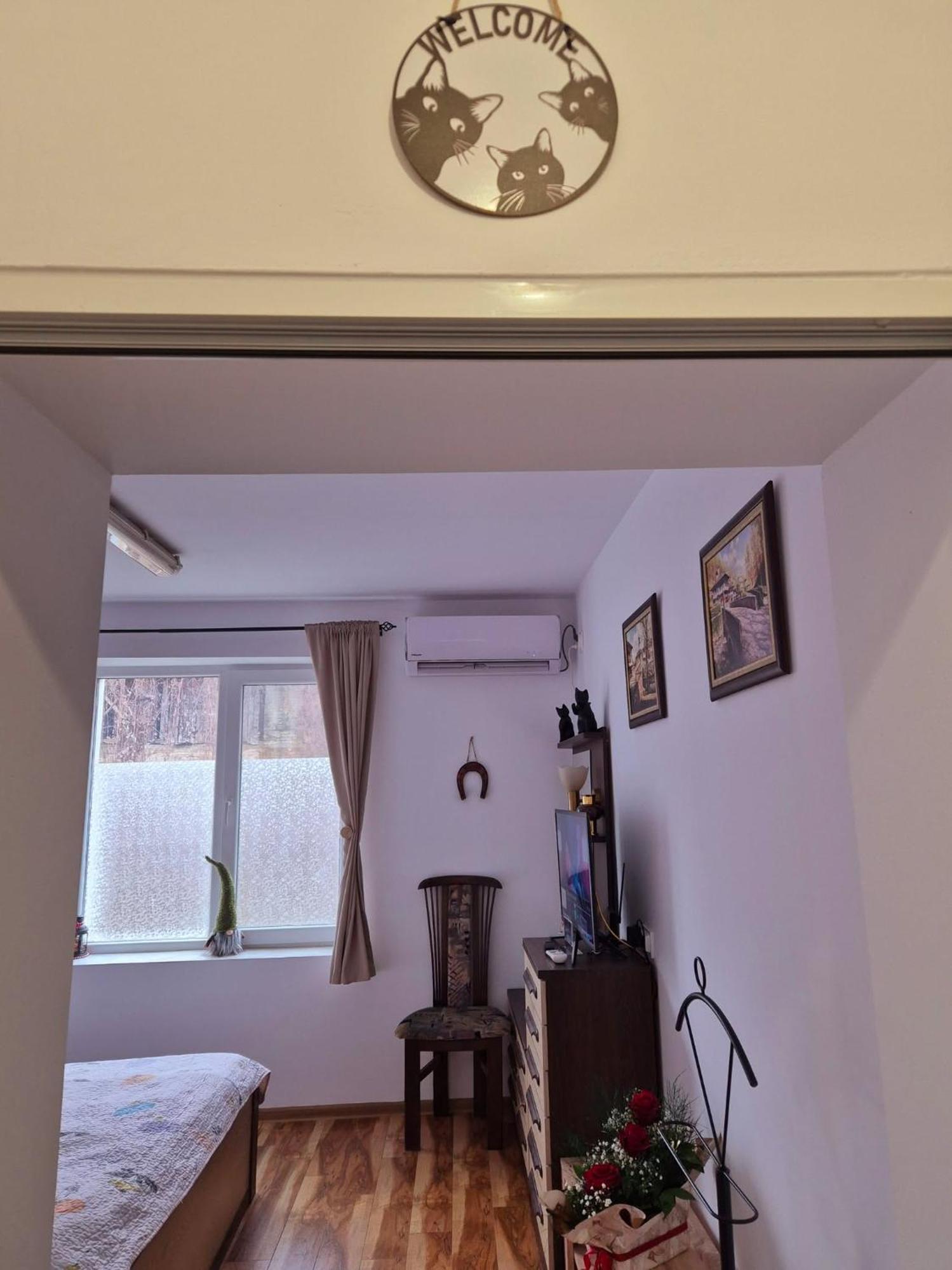 Apartment Shesti Uchastak Gabrovo Exterior photo